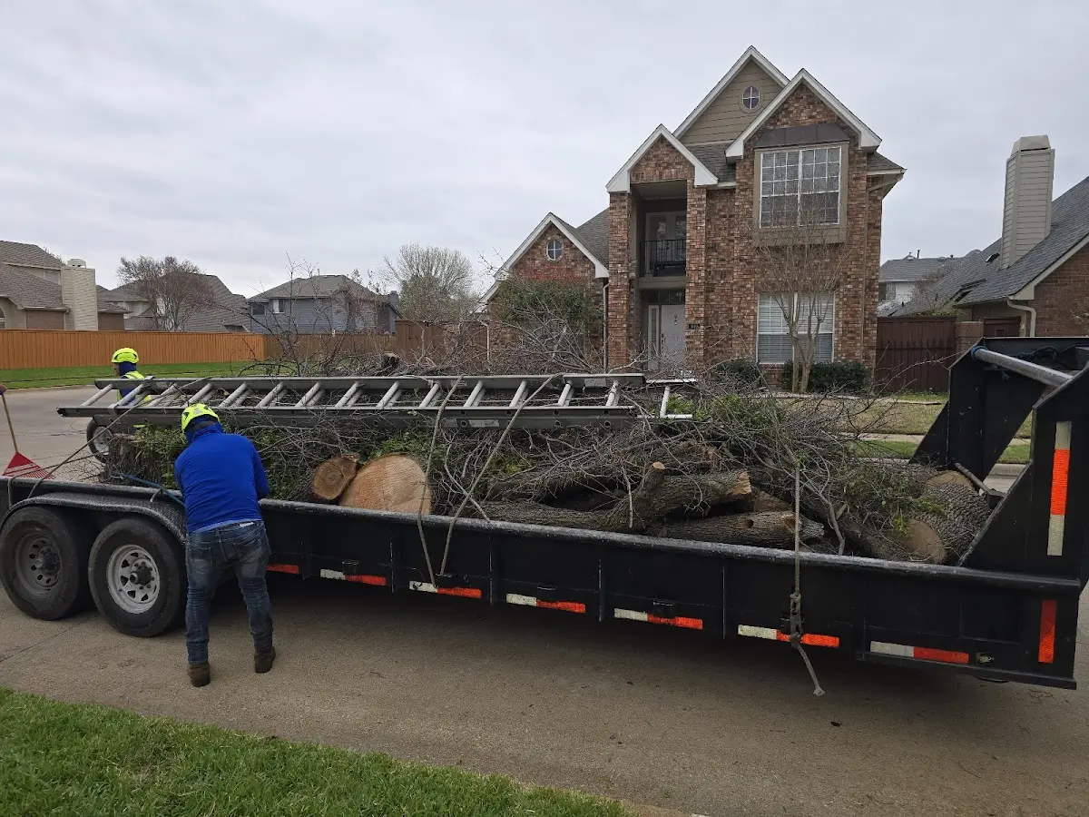 Expert Tree Fertilization with proper safety equipment in Grahn